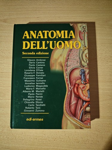 Anatomia dell uomo vv - di, aa.vv