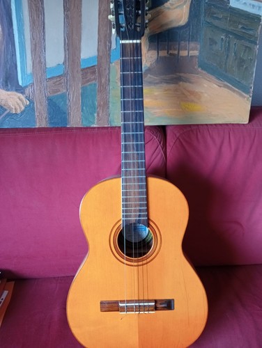 Chitarra classica giorgio - classica,
