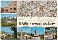 TREVISO - LA STRADA DEL VINO BIANCO - VEDUTINE - VIAGG. 1977 -45784-