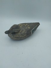 Anatra papera galleggiante - papera,