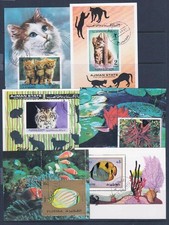 Collezione Di Animali, Gatti