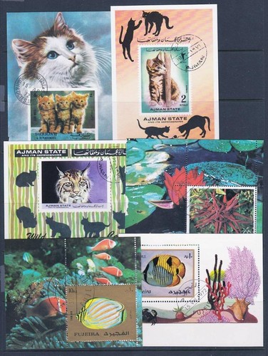 Collezione animali gatti - di,