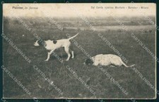 Milano Città Canile Bortolan Pointer cartolina KF2817