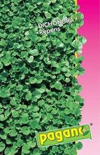 Semi per prato e tappeti