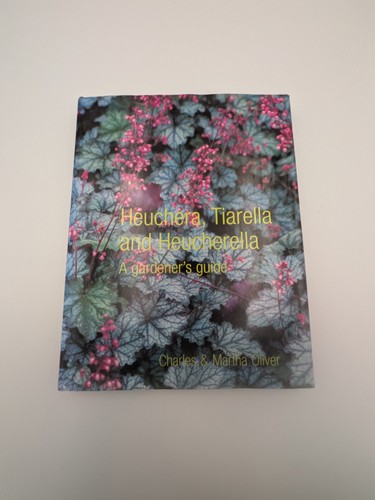 Heuchera tiarella heucherella - heuchera,