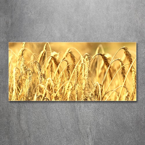 Quadro immagine arte - , parete
