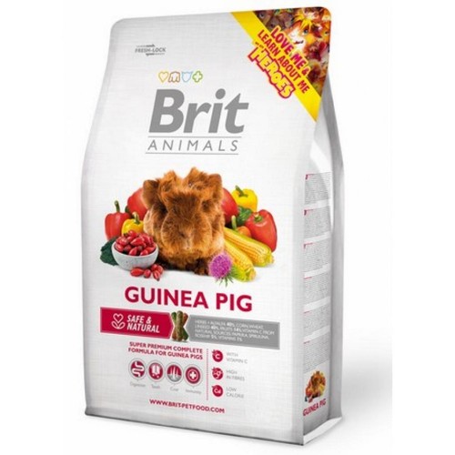 Brit animals guinea - brit,