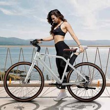 Bicicletta elettrica 250W donna trekking ebike 36V 10AH E-Bike 29 pollici e mountain bike