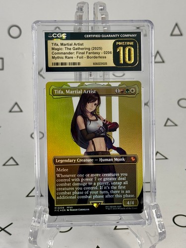 Tifa artista marziale - artista,