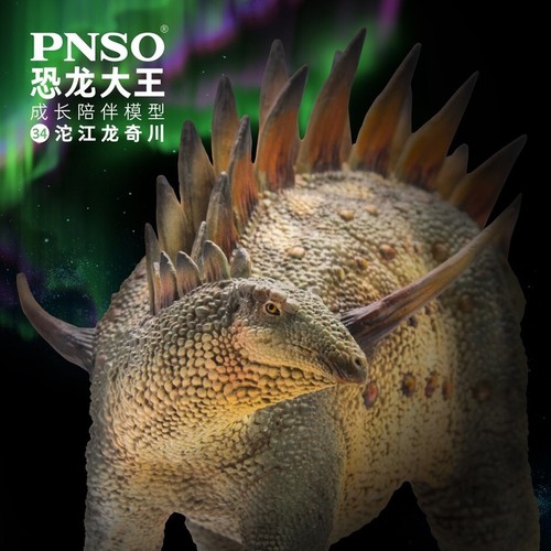 Pnso 2020 qichuan - pnso,