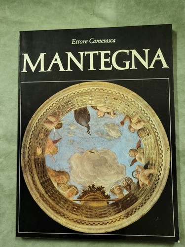 Libro mantegna ettore - libro,
