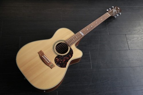 Maton ebg808cte tommy emmanuel - ebg808cte,