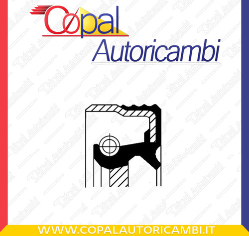 Paraolio albero camme - a,