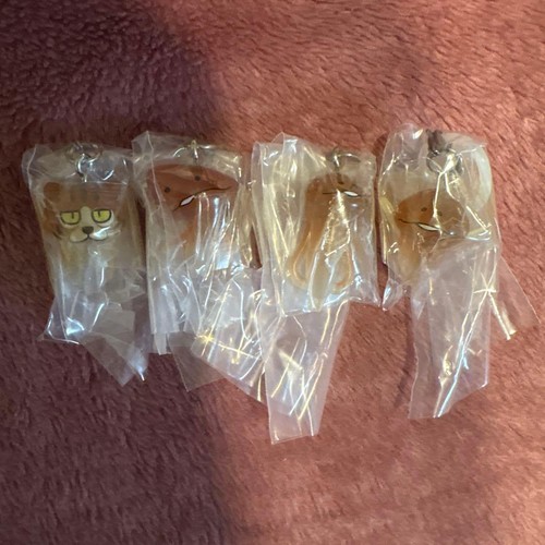 Neko nameko kit coltivazione - neko,
