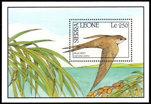 Sierra leone 1242 - 1242,