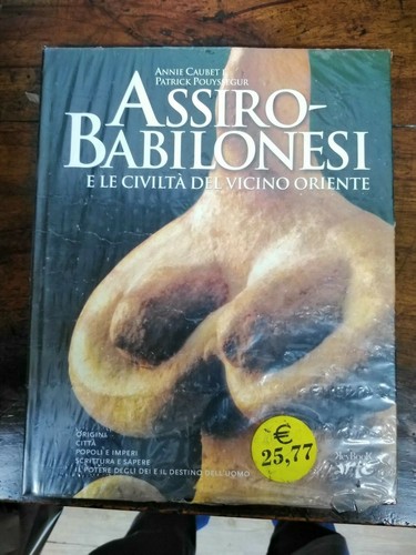 Assiro babilonesi le - babilonesi,