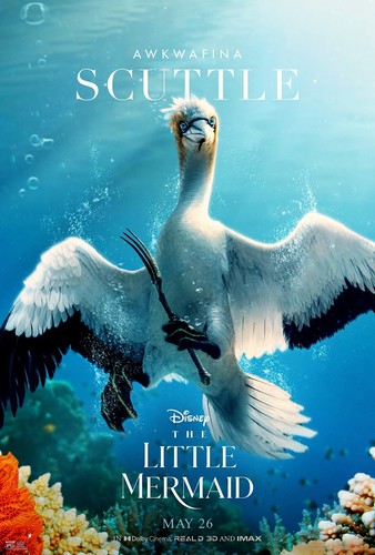 Sirenetta little mermaid - little,