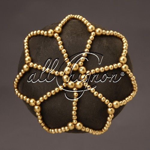Copri chignon allchignon p1011 - chignon,