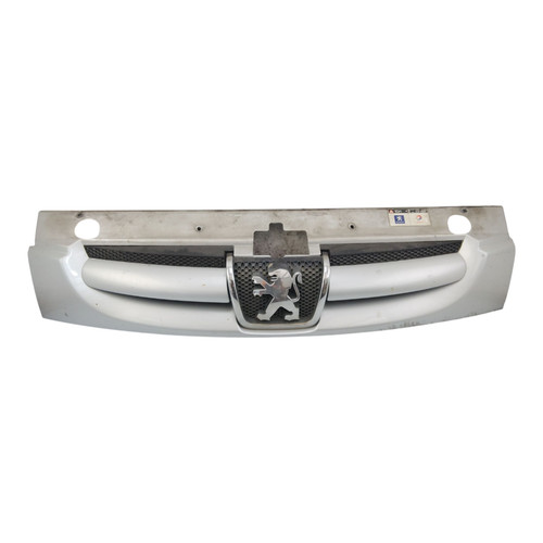 Griglia radiatore peugeot - griglia,
