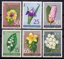 Jugoslavia 1963 Fiori Giglio Tedesco Iris Bistort Piante di Cumino Selvatico Set 6v MNH