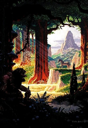 Foresta dell unicorno carte - dell'unicorno,,