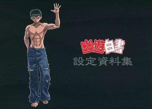Hakusho anime book set - yu,