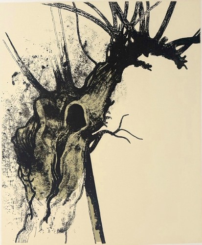 Carlo mattioli albero - carlo,