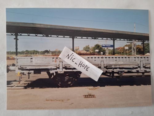 Fotografia stazione pisa - stazione,