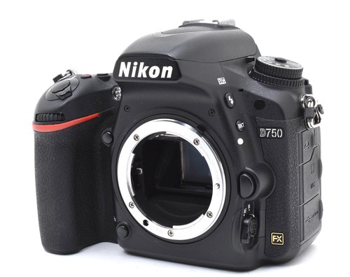 Ecc corpo fotocamera - [ecc+5],