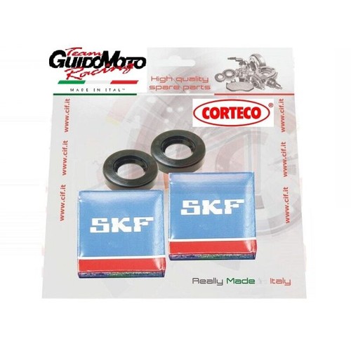 Cuscinetti paraolio revisione - paraolio,