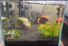 Acquario cubo newa - acquario,