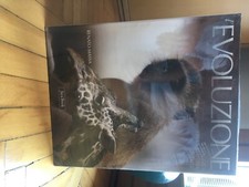 renato massa , l'evoluzione il