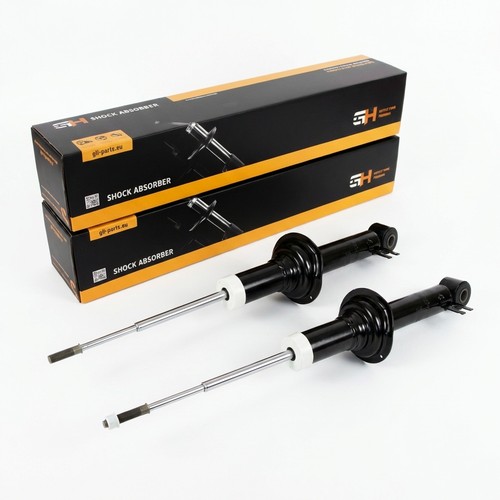 Coppia ammortizzatori gas - ammortizzatori, a