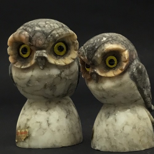 Coppia gufi vecchie sculture - gufi,