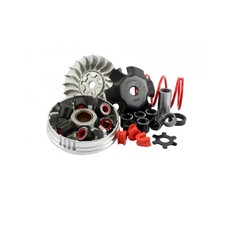 Variatore MALOSSI Multivar MHR x Over Range Minarelli ( Rulli 19x15,5 )