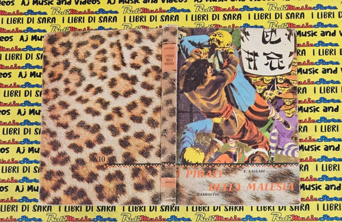 Book libro pirati della - i,