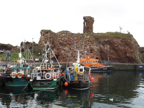 Photo 6x4 boats moored - photo,