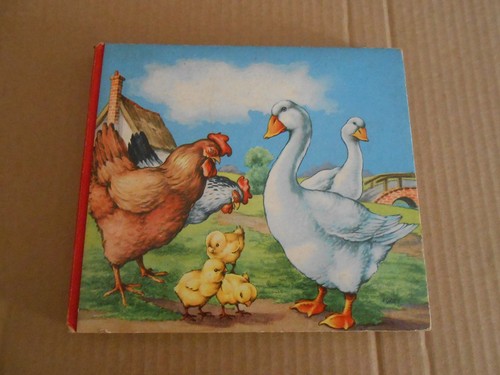 Libro pagine cartonate - libro, 12