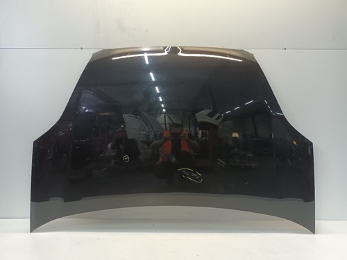 Fiat doblo coperchio motore - doblo,