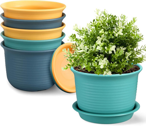 Vasi grandi 8 cm - 17,8,