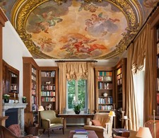 3D Angel NA6132 Ceiling WallPaper Murals Wall Print Decal Deco AJ WALL Fay