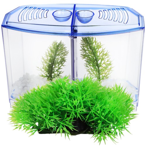 Acquario plastica per - in, pesci