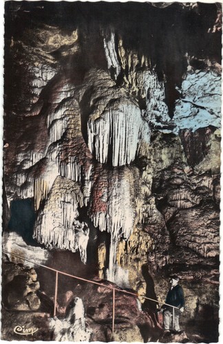 Grotta della balme - il, salice