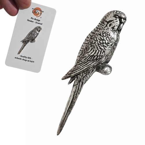 Spilla budgie budgerigar - spilla,