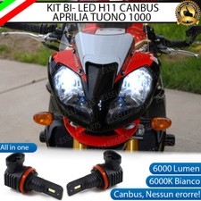 COPPIA LED H11 CANBUS PER