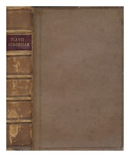 Plauto, Tito Maccio T. Macci