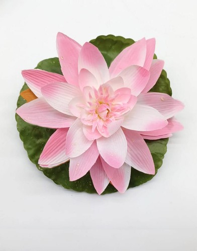 Ninfea galleggiante rosa - ninfea,