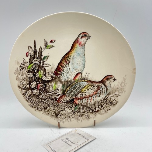 Piatto collezione vintage - piatto, da