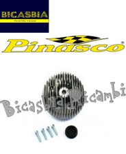 10073 - TESTA PINASCO VRH DM