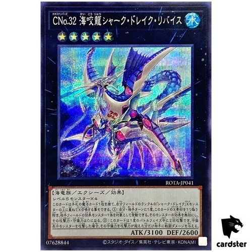 Numero c32 squalo drago - squalo,